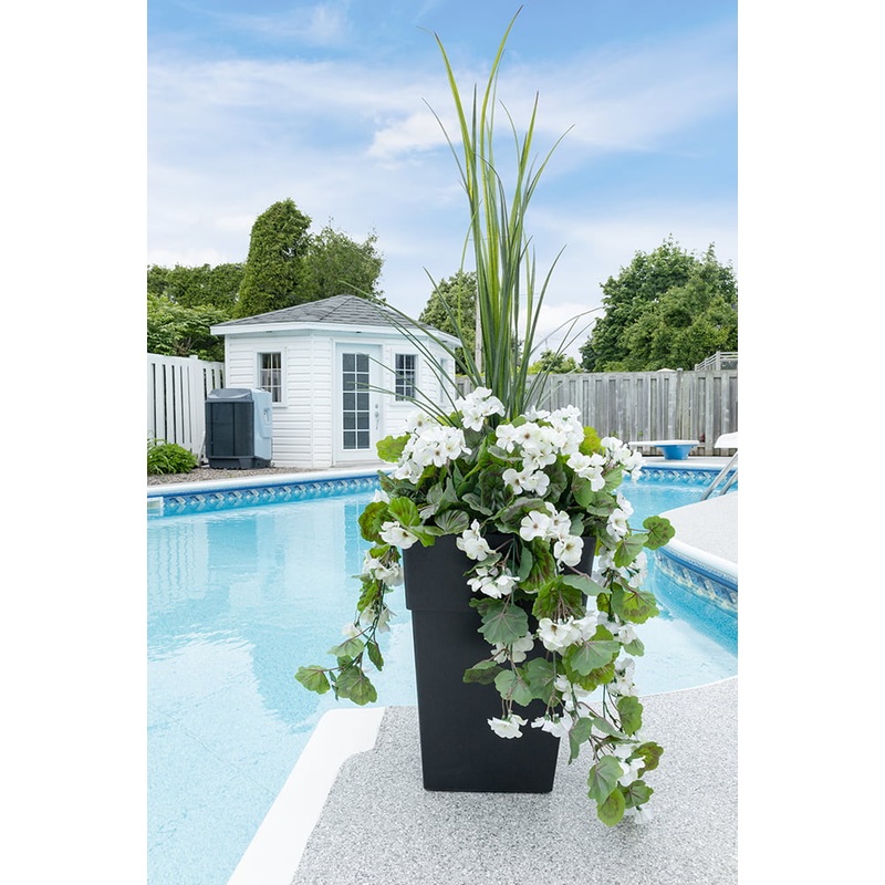 Dracaena and White Geranium Planter