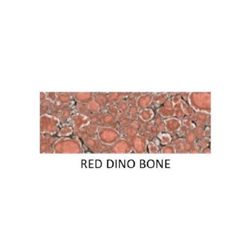 Red Dino Bone