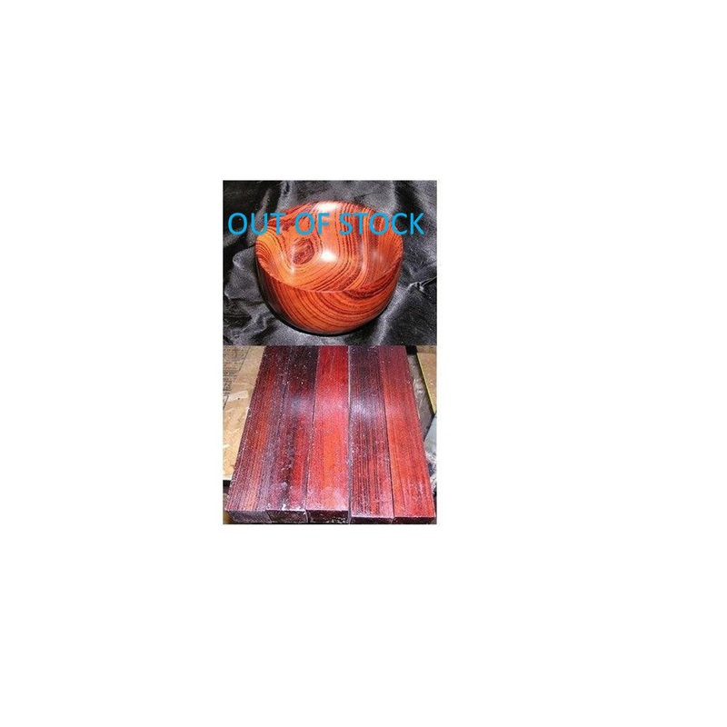 Rengas Tiger - Gluta Sp.