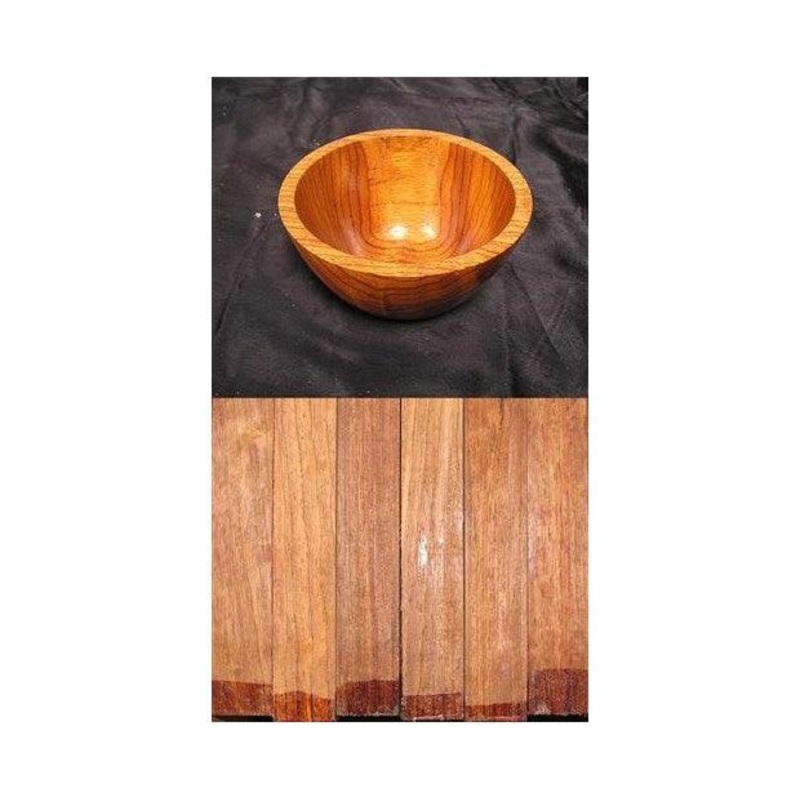 Yucatan Rosewood - Dalbergia yucatensis