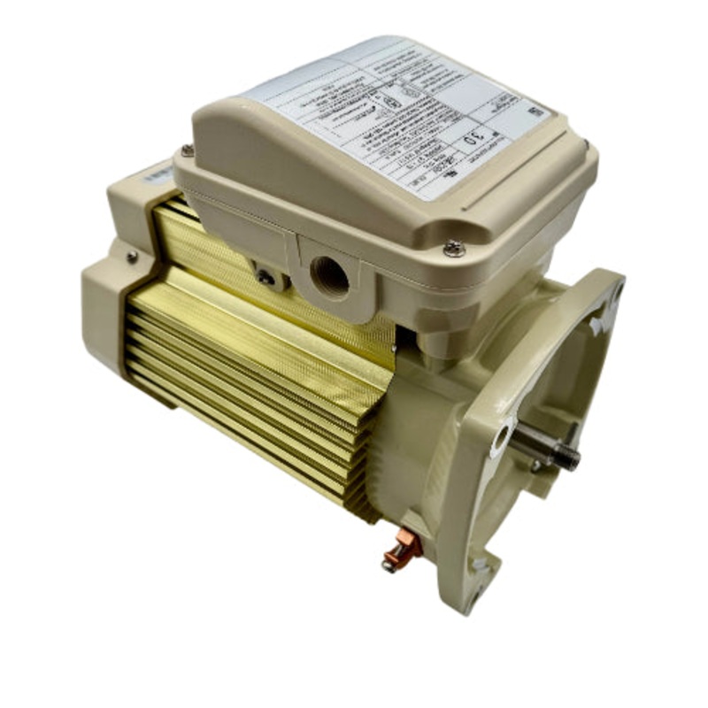 Pentair | 354817S | 3HP WhisperFlo Pump Motor  208-230V, TEFC, Almond
