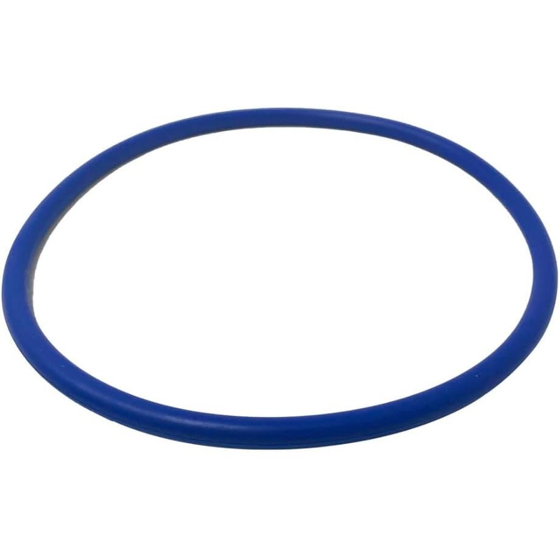 Pentair 356189z. O-ring for IntelliFlo3 and IntelliPro3 VFS Pump. Replacement Part.