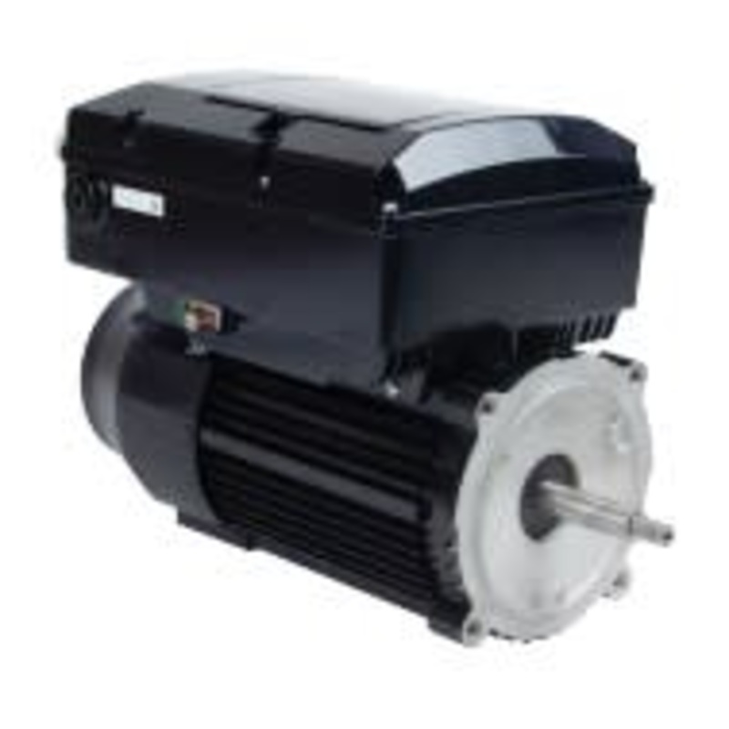 Us Motors Neptune 1.65 HP Variable Speed Sq 48Y | NPTQ165