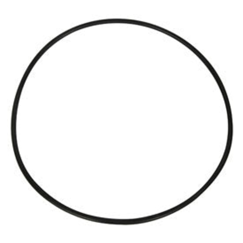 Hayward O-Ring for Filter Head Swimclear