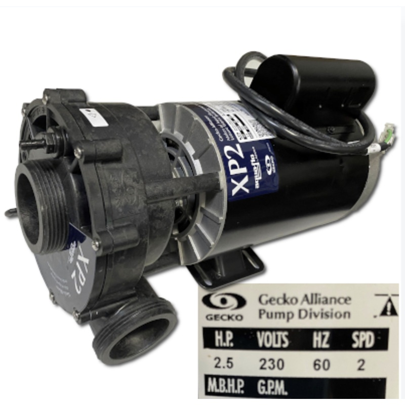 Bullfrog Spa Pump 65-1015