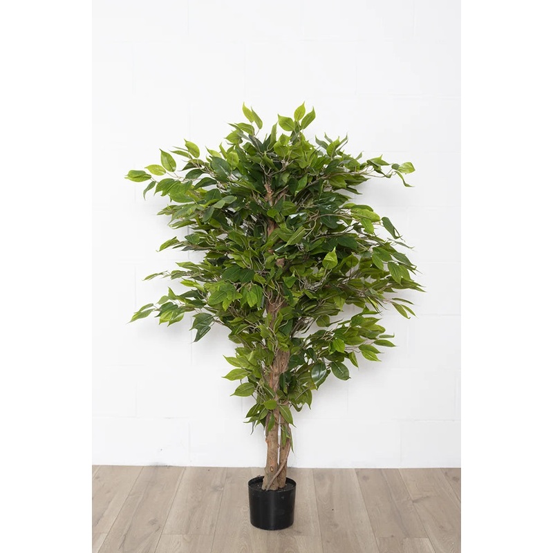 Ficus Tree 51''
