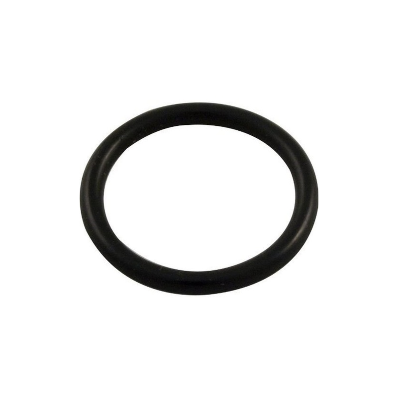 O-Ring Pentair & Sta-Rite