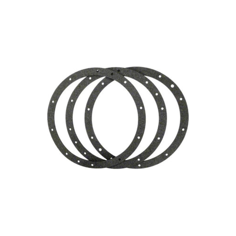 Pentair gasket