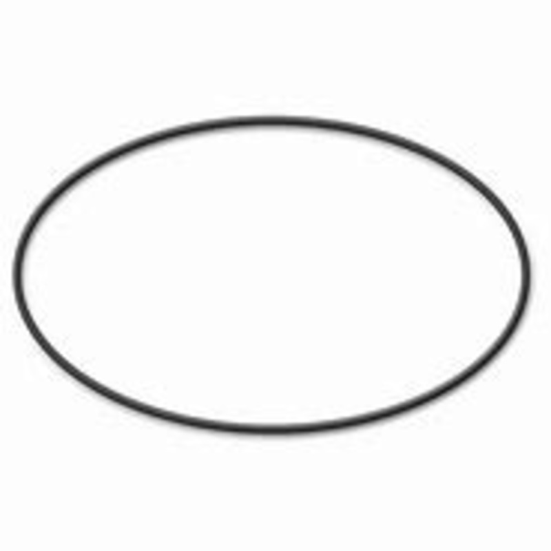 Poolrite SQ Pump Lid - Oring