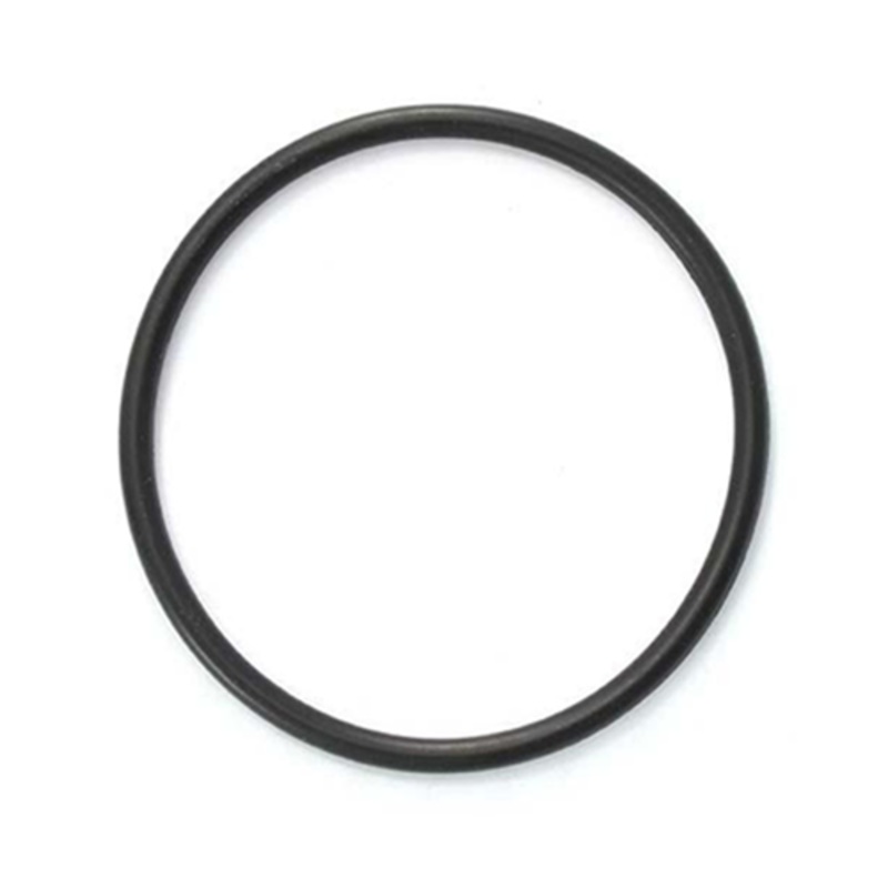 Astral Pool Pump Lid O Ring