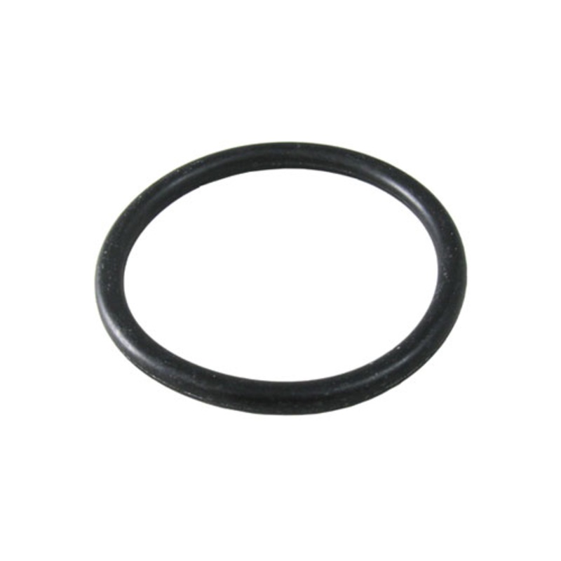 Waterco 50mm Oring