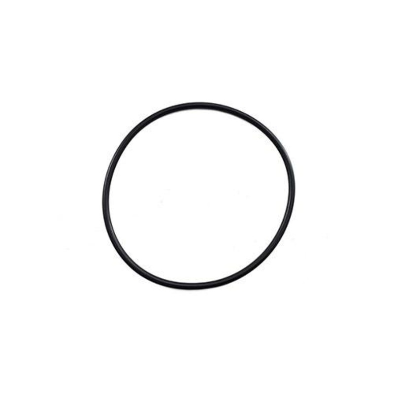 Zodiac TRi Barrel Union O Ring (2 Pack)
