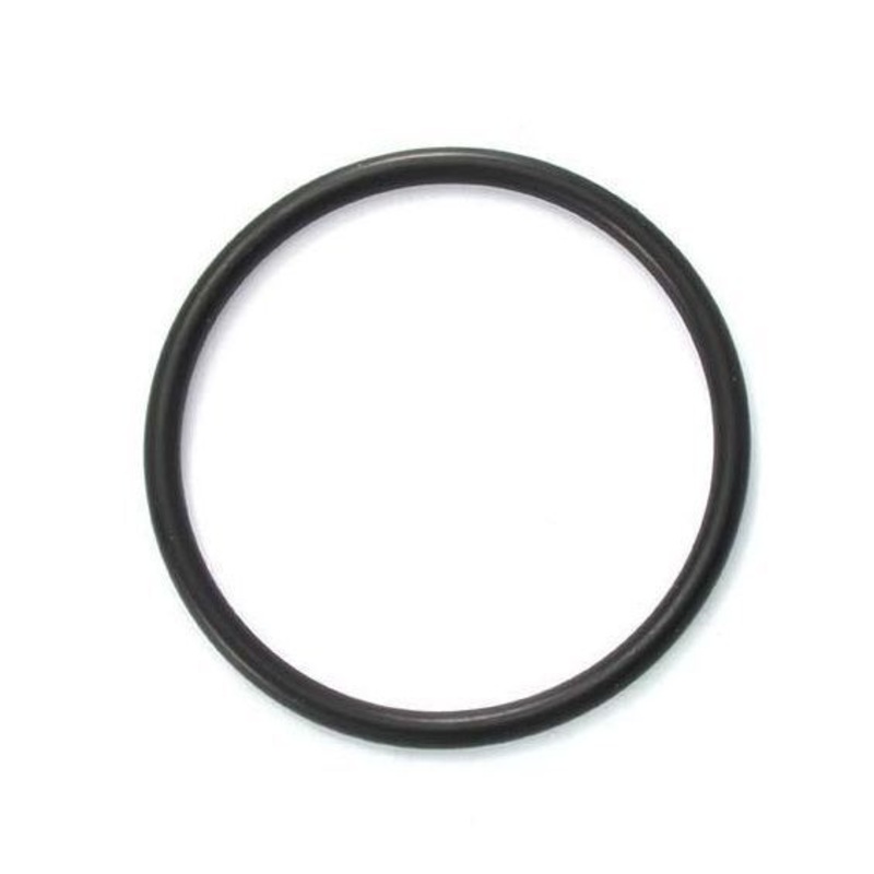 AstralPool / Viron / Hurlcon O ring for 50mm MPV union adapter E, RX series - 70009