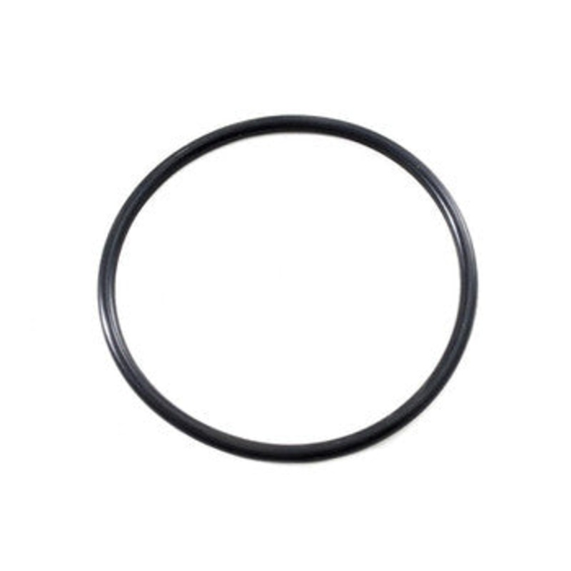 Zodiac Flo Pro & Flo Pro E3 Pump Lid Oring