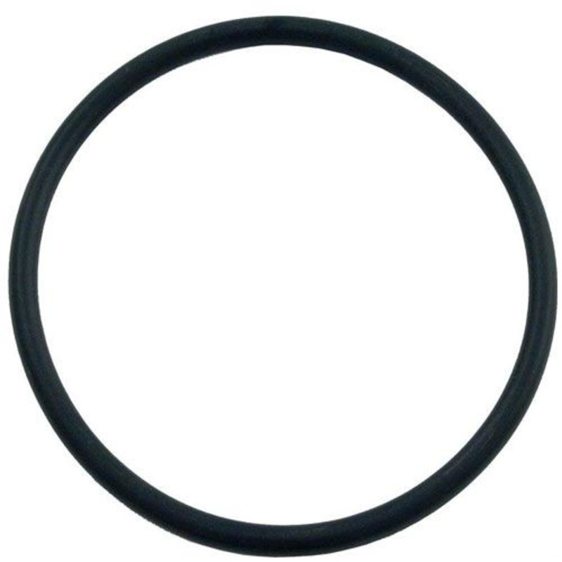 O-Ring for Hayward CL100 & CL110 Chlorinator CLX110K