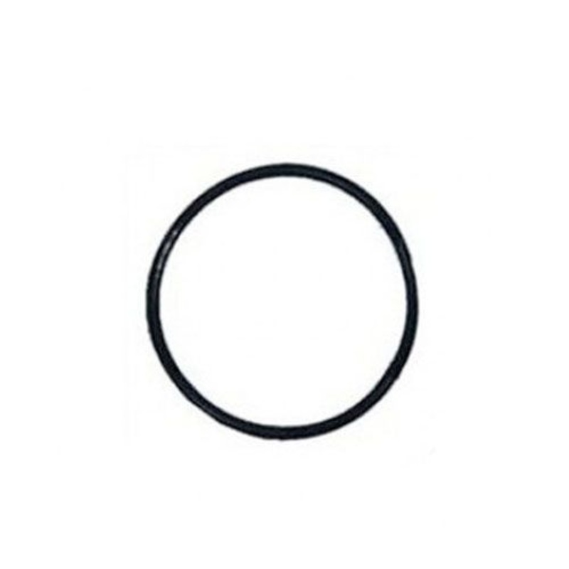 O-Ring to Connect Pentair Optiflo Strainer Pot to Pump Housing 191517