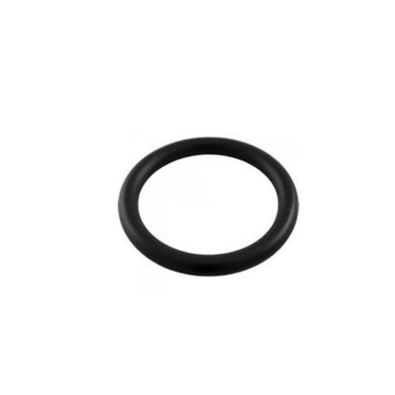 O-Ring for Clean & Clear Drain Plug 51005000