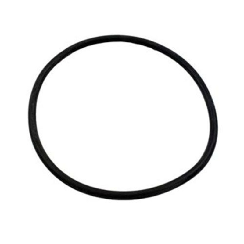 O-Ring for Hayward CL200 & CL220 Chlorinator Lid CLX200K