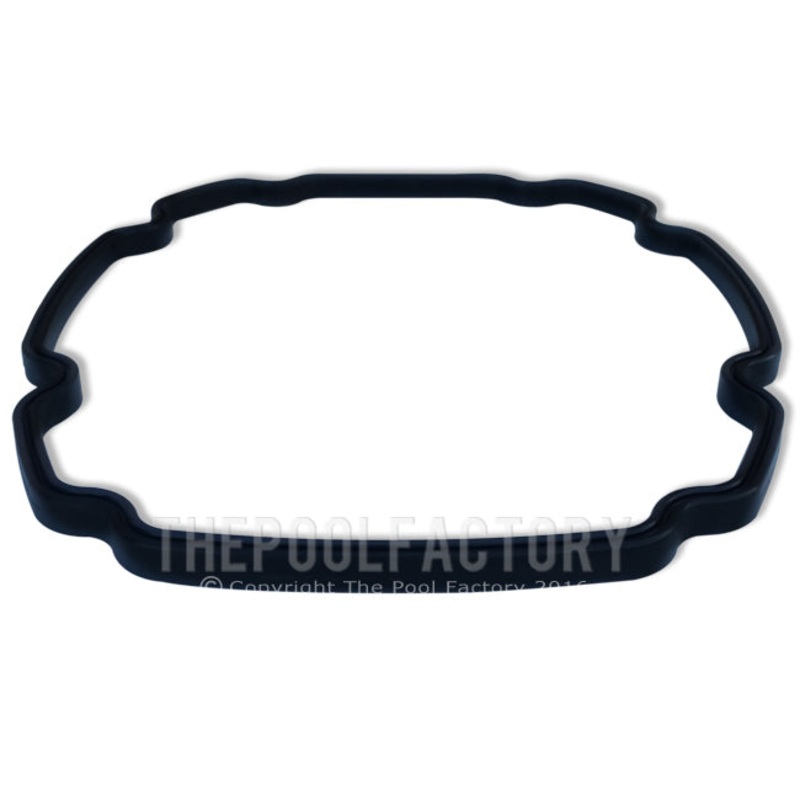 Seal Plate Gasket for AquaPro PurFlo Pump