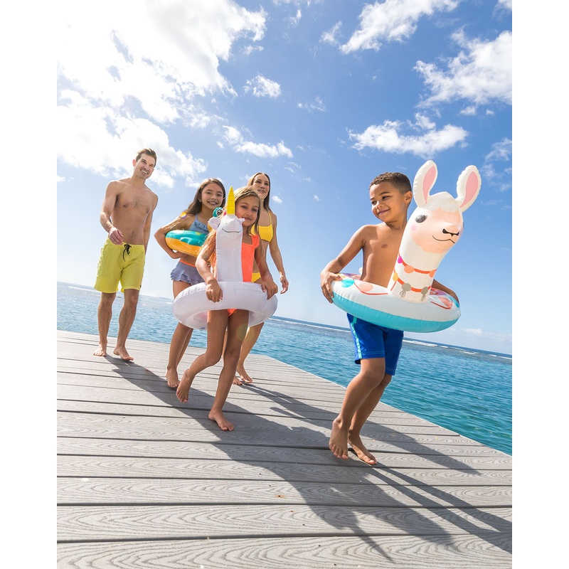 Big Animal Inflatable Swim Rings - Assortment