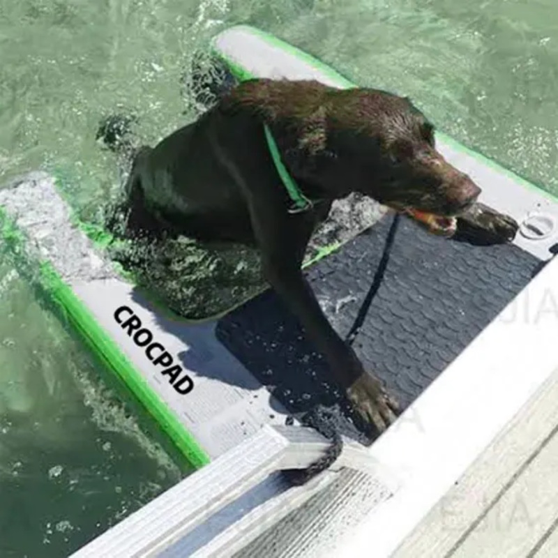Inflatable Dog Ramp