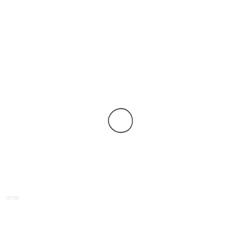 12733, O-ring For Backyard Led Light