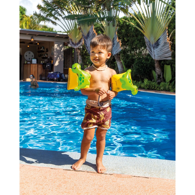 Dinosaur Inflatable Arm Band Floaties