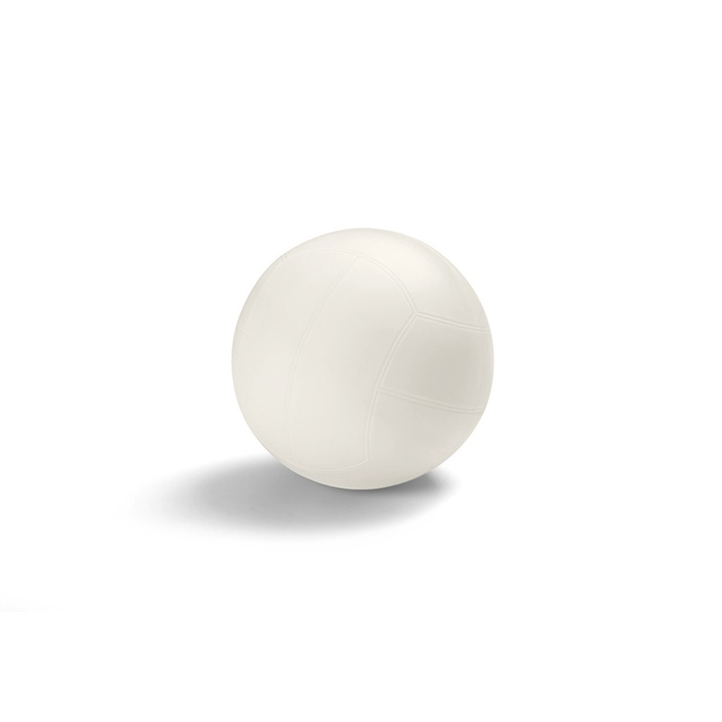 10541, Volleyball